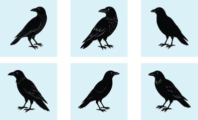 Fototapeta premium Crow Silhouette vector