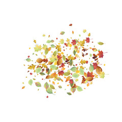 Leaves Falling Autumn Foliage Chaotic Leaf Flying