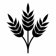 Ears of wheat symbols vector on white background.