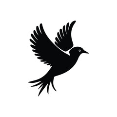 Obraz premium black and white bird on transparent background
