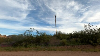 Arizona Driving 1672 Tempe Sunflower
