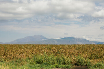 landscape with green field, mountains and clouds