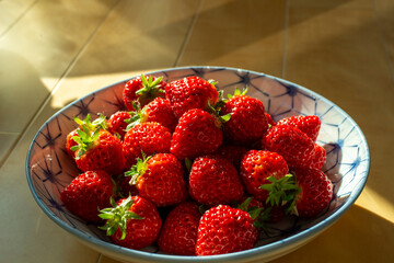 越後姫（いちご）