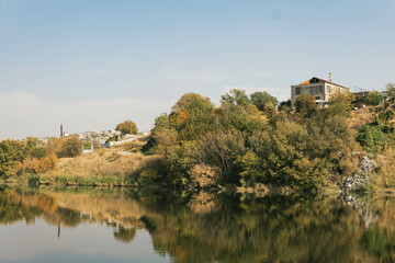 reflection of trees and bushes on the lake
