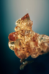 Tree sap is a sticky, sugary fluid that carries nutrients and water throughout a tree. It's vital for a tree's health and growth.