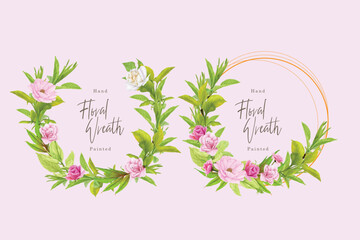 hand drawn poppy anemone wreath border 