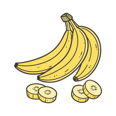 Bananas vector art design