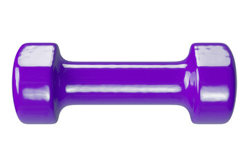 Blank Round vinyl rubber Dumbbell, weightlifting gym equipment side view, isolated on white background. 3D illustration