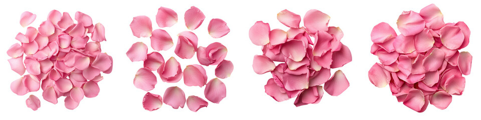 Close up view of delicate soft and silky pink rose petals artfully arranged in a romantic floral The fragrant lush and velvety petals create a dreamy tender and elegant mood