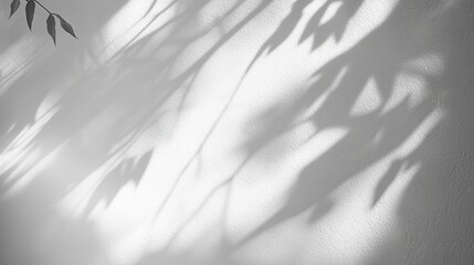 Obraz premium Abstract Monochrome Wall Texture with Leaf Shadows and Soft Light