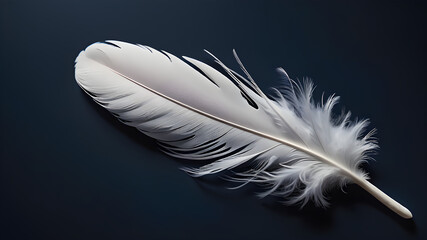 Obraz premium A single white feather gently floating on a smooth, dark blue background, emphasizing simplicity and lightness. The soft texture of the feather contrasts beautifully with the dark background. 