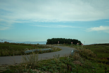 Naklejka premium road in the forest