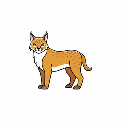 bobcat cartoon vector