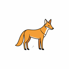 red fox vector illustration