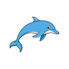 dolphin isolated on white background