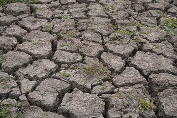 The cracked soil, a result of drought, which is a period of drier-than-normal conditions which leads to a deficiency of water in the soil, known as soil drought