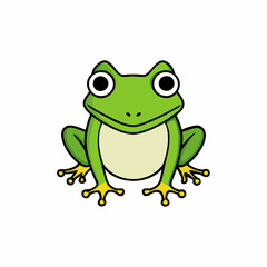 frog on white background