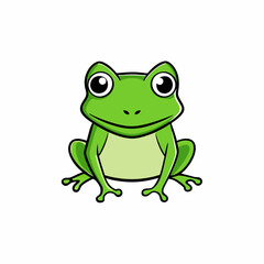 frog on white background