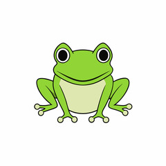 frog on white background