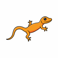 gecko on a white background