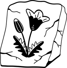 ancient floral carving on stone, intricate flower motif, historical artifact with cultural significance