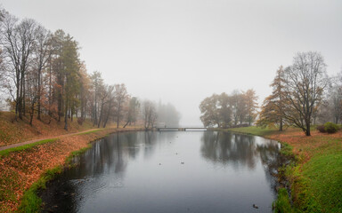 Foggy autumn morning in the park.