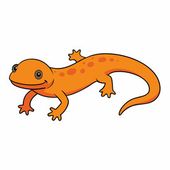 gecko on a white background