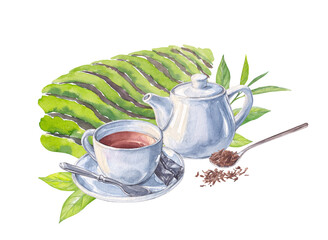 Watercolor illustration of a teacup, teapot and tea plantation. 