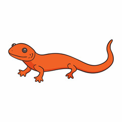 salamander on a white background