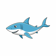 shark vector illustration