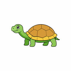funny tortoise cartoon