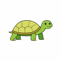 funny tortoise cartoon