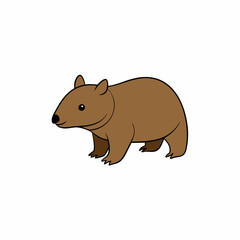 squirrel on white background