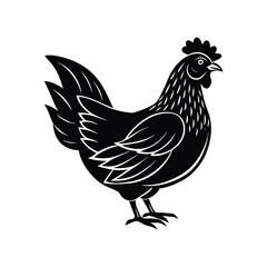 Chicken vector Illustration isolated on the white background,