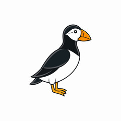 vector illustration of a auk