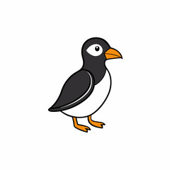 vector illustration of a cartoon auk