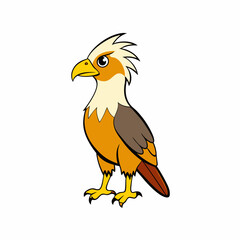 yellow billed hornbill