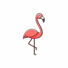 flamingo on white