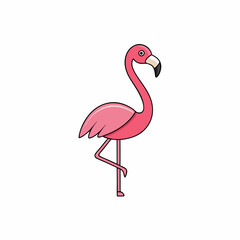 flamingo isolated on white