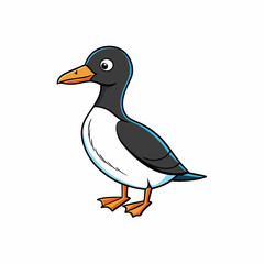 black and white guillemot