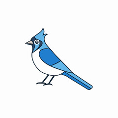 blue jay bird on a branch
