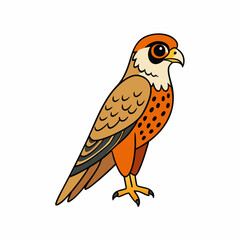 vector illustration of a kestrel