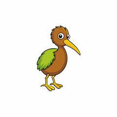 vector illustration of a kiwi