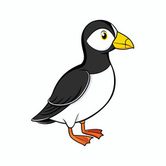 vector illustration of a razorbill