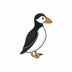 vector illustration of a razorbill