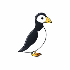 vector illustration of a razorbill