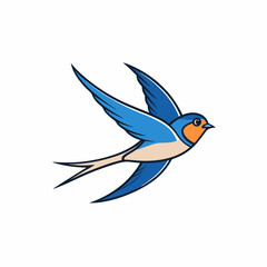 swallow bird vector illustration