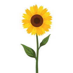 Obraz premium Bright sunflower standing tall against white background, nature's beauty