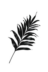 Leaf Fern leaves shape brush stroke silhouette plant black.