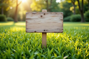 A rustic wooden signpost stands within a field of green grass